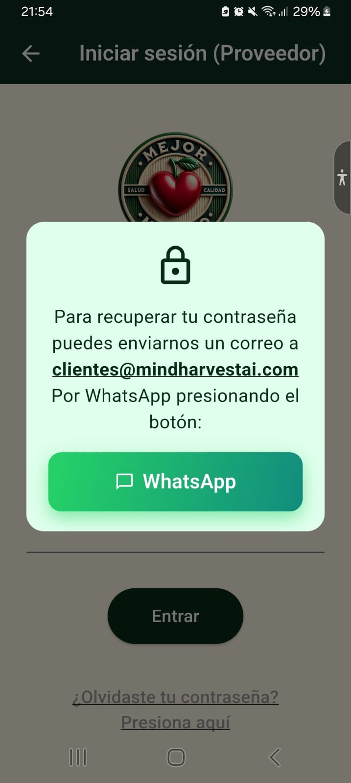 Opciones para recuperar contraseña